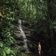 Cachoeiras da Floresta da Tijuca